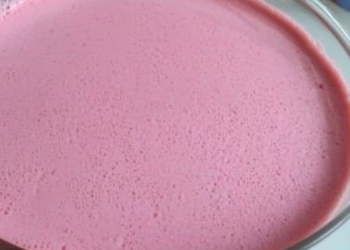 Gelatina Cremosa de Morango: Sobremesa Super Fácil e Deliciosa