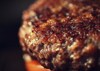 Qual é a Melhor Carne para Fazer Hambúrguer Caseiro? Confira as Opções!