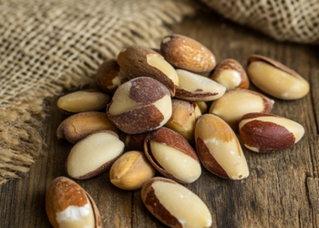 Castanha-do-Pará faz bem para o cérebro? Descubra os benefícios