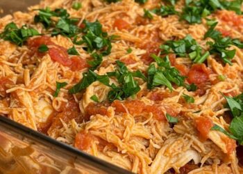 frango desfiado temperado