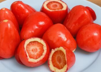 Aprenda a fazer o famoso morango do amor com casquinha crocante