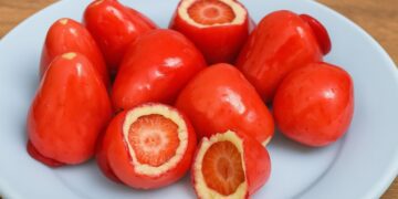 Imagem: Receitas Já