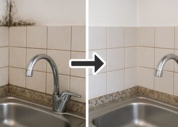 Imagem: Receitas Já