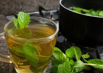 Imagem: Receitas Já